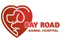 Bay Road Animal Hospital - Crossings Location