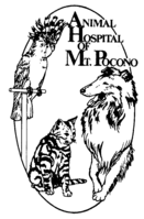 Animal Hospital of Mount Pocono