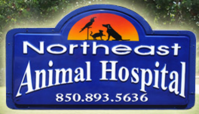 Northeast Animal Hospital