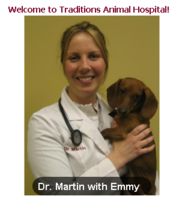 Traditions Animal Hospital