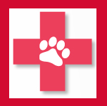 Kennesaw Mountain Animal Hospital