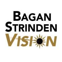 Tom Strinden, Owner