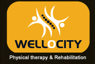 Wellocity Physical Therapy and Rehab