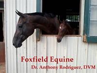 Foxfield Equine (Equine Only)