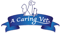 A Caring Vet