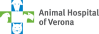 Animal Hospital of Verona