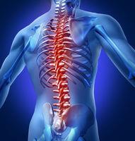 Excel Rehabilitation Services