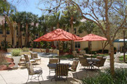 Stratford Court of Palm Harbor