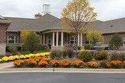 Autumn Leaves of Vernon Hills