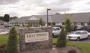 Eagle Springs