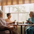 Mayflower Senior Care, Inc.