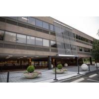 Stamford Health Medical Group Endocrinology