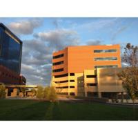Stamford Health Medical Group Pain Management