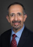 Gholamabbas Ami Ostovar