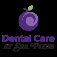 Dental Care at Sea Plum