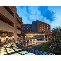 Fake University Hospital