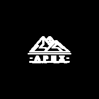 APEX Performance and Physical Therapy