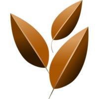 Prostate Seed Institute
