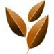 Prostate Seed Institute