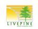 Live Pine