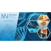 NSI Stem Cell