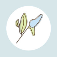 Young Naturopathic  Center for Wellness