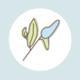 Young Naturopathic  Center for Wellness