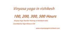 vinyasa yoga school