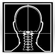 Well Balanced Chiropractic, Inc. 