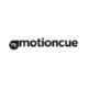 Motion cue