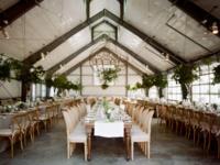 Otto Productions - Pittsburgh Wedding DJ