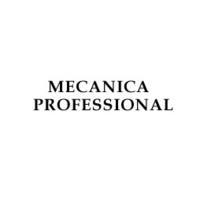 Mecanica  Professional