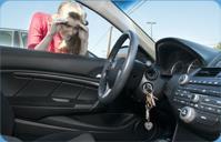 DML Locksmith  Services