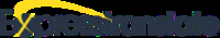 SEO Team