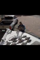 Tampa Bay Fishing Charters
