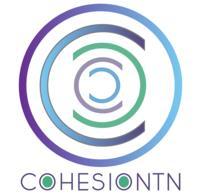 Cohesion Interventions