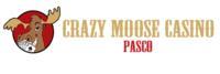 Crazy Moose Casino