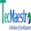 tecmaestro solutions