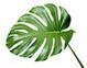 Green Living Air Pty Ltd