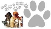 Preferred Pet Sitter