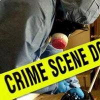 Remediation  Services