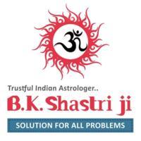 Astrologer Specialist