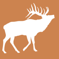 Colorado Web Impressions