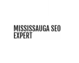Mississauga SEO Expert