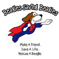 Brew Beagles