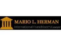 ifranchise law