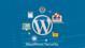 Wordpress Security Plugin