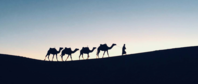 morocco travel