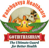 Gotirth Healthcare