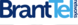 BrantTel  Networks